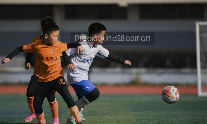 手机、平板与宽屏三种设备轮廓的冷色剪影